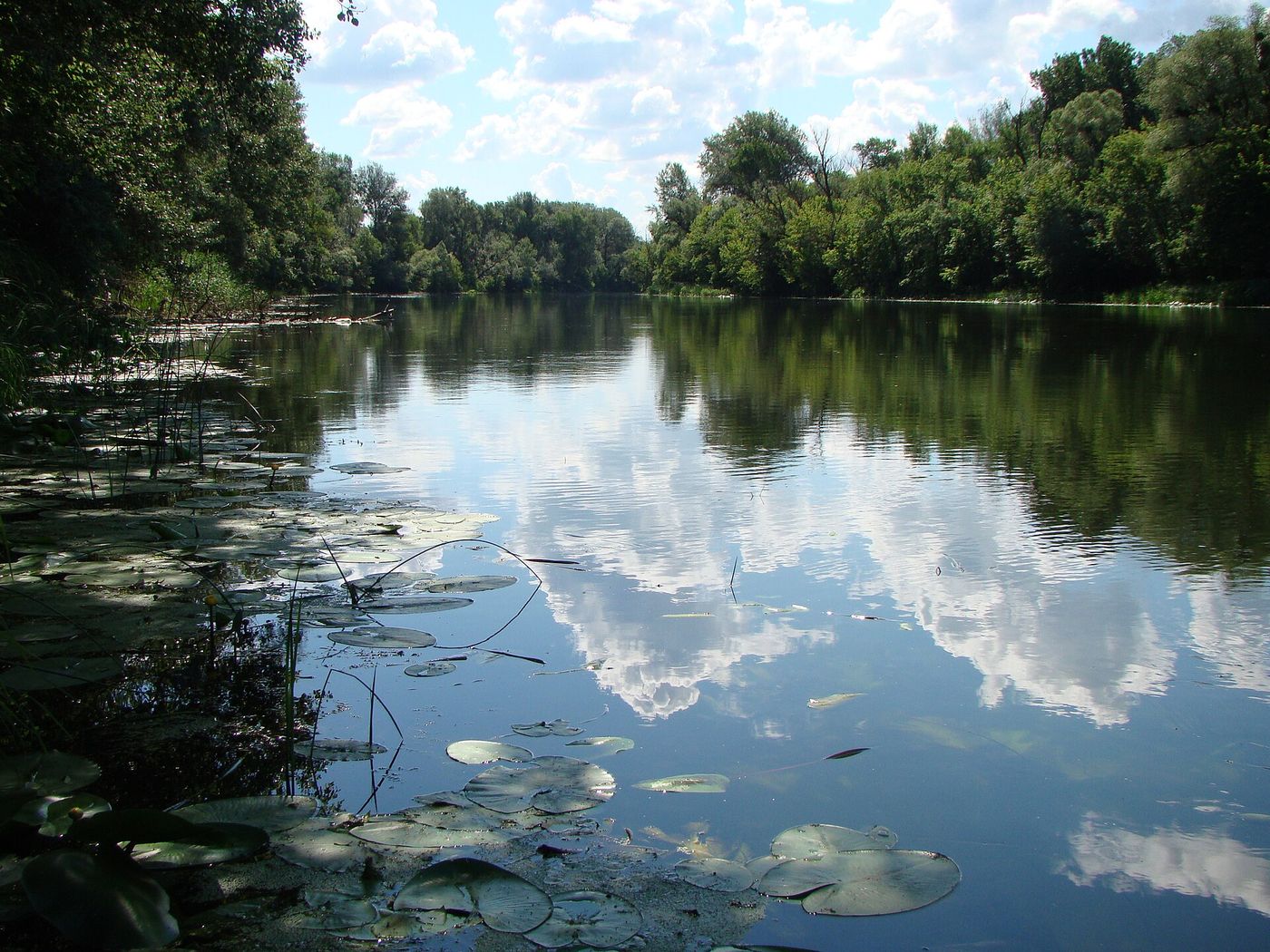 Сіверський Донець біля Яремівки